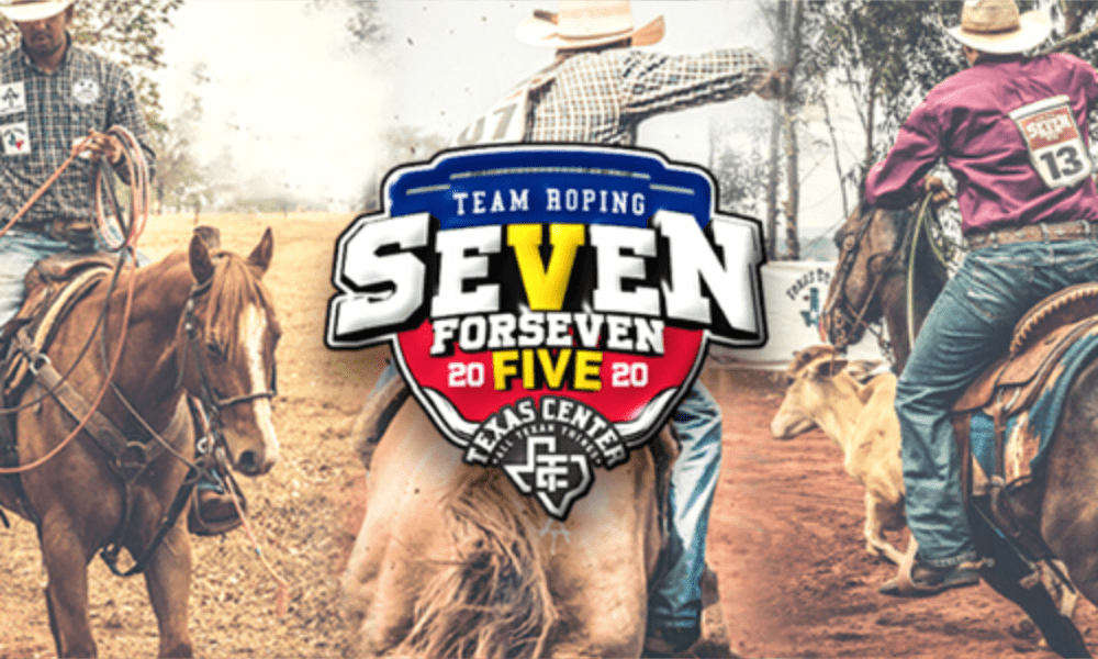 DVD Seven for Seven V – 2020