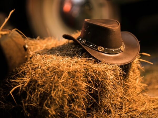 Filme Country: As Melhores Produções e Estilos do Gênero