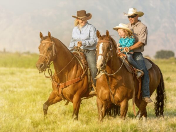 Estilo de roupa para cavalgada: conforto e tradição!