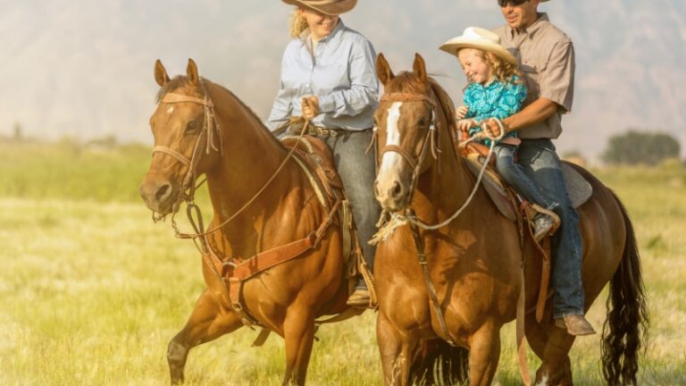 estilo de roupa para cavalgada