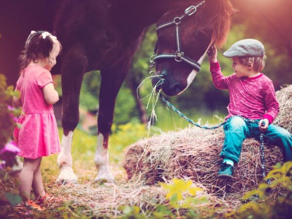 Férias na roça: guia completo para curtir a vida no campo!