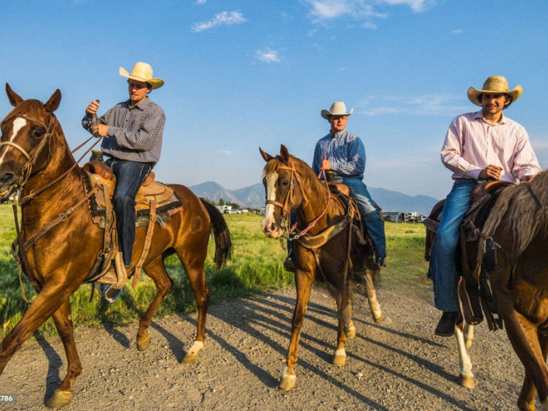 Entenda Qual a Melhor Raça de Cavalo para Cavalgada!